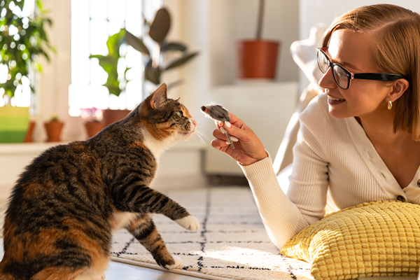 image for June 4 is Hug Your Cat Day? Your Cat Might Prefer a Different Love Language